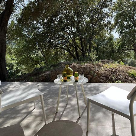 מלון Olmiccia Ferme Casa Pian D'Olmo Ferme מראה חיצוני תמונה